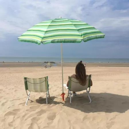 Apartman La Digue 602 In Directly On The Koksijde