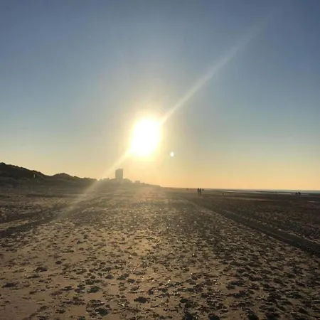 La Digue 602 In Directly On The Koksijde