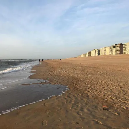 La Digue 602 In Directly On The * Koksijde